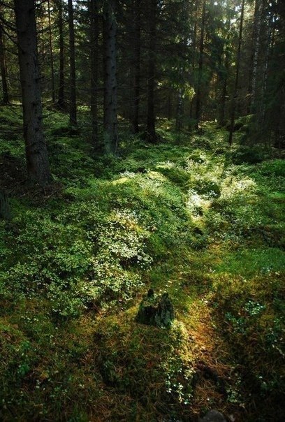 Господи дай нам глаза, которые видят в людях лучшее, Сердце, которое будет прощать худшее, Ум, что ...