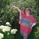 ���� �����, ������� - ��������� 8 ���� 2015 � ������ ���� ����������