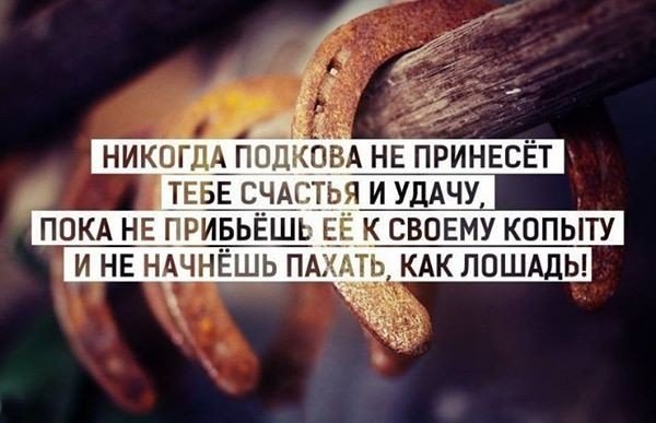   |  |  - 29  2015  14:02