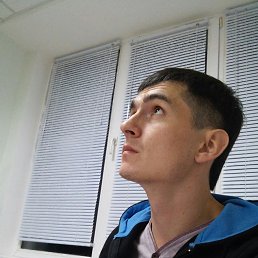 �������, ������, 41 ���