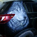 ���� ������ ������, �����, 52 ���� - ��������� 16 ��� 2015 � ������ ��� �������,��..������� �� �����...�