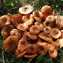 ���� ������, �����-��������� - ��������� 28 ���� 2015 � ������ ������ ��������