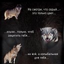 ���� Nelli>>>........................, ����������-���������, 49 ��� - ��������� 10 ���� 2015 � ������ ���� ����������