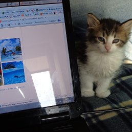  , -, 41  -  15  2015