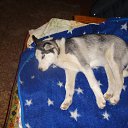 ���� �����, ������, 63 ���� - ��������� 8 ���� 2015 � ������ ���� ����������