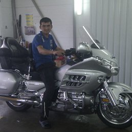 ������, �����������, 38 ���