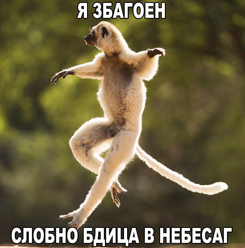 ������ �� ��� :D - 20 �������� 2015 � 21:40