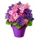 ���� ��������.������,��������� �� ���� �����������., ����� - ��������� 18 ���� 2015 � ������ �PODARKI�