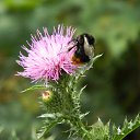 ���� ������, �������� - ��������� 20 �������� 2015 � ������ ���� ����������