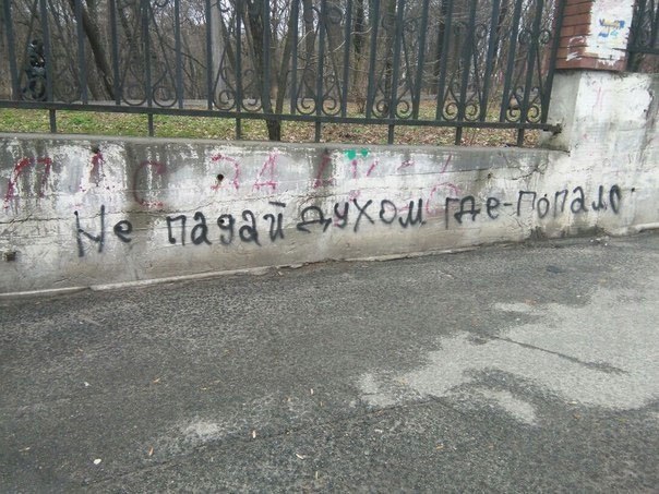  - 12  2015  19:56