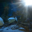 ���� ���������, �����, 27 ��� - ��������� 14 ���� 2015 � ������ ���� ����������