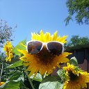 ���� �������, ��������������, 57 ��� - ��������� 3 �������� 2015 � ������ ���� ����������