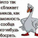  , , 63  -  26  2015   ...)))))))))