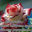 ���� ������, ������������, 58 ��� - ��������� 24 ��� 2015 � ������ �)))�