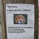 ���� Pavel, ������ - ��������� 7 ���� 2015 � ������ ������ ��������