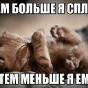���� �������, ������, 42 ���� - ��������� 24 ���� 2015 � ������ ���� ����������