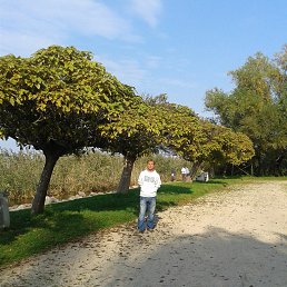 �����, ������, 57 ���