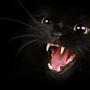 ���� ����, ������ - ��������� 22 ������ 2015