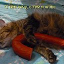 ���� Wladimir, ������-��-����, 68 ��� - ��������� 4 �������� 2015 � ������ ������ ��������