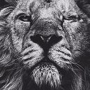 ���� ���������, �������, 62 ���� - ��������� 24 ������ 2015 � ������ ���� ����������