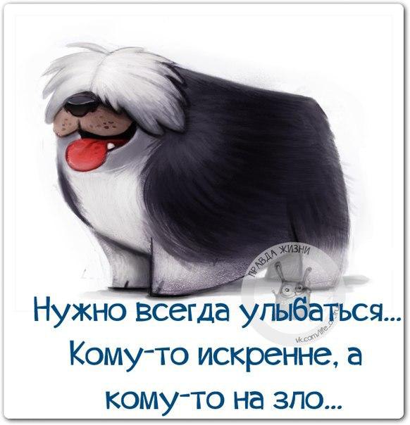   - 9  2015  19:11