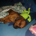 ���� ������, �����, 43 ���� - ��������� 3 �������� 2015 � ������ ������ ��������