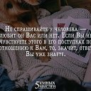 ���� ������, �����, 67 ��� - ��������� 2 �������� 2015 � ������ �5 ����� ������