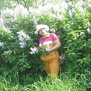 ���� �����, ������ - ��������� 10 ������� 2015 � ������ ���� ����������