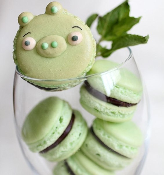  Macarons   Angry Birds. :125  ,120  ,2 , ... - 6