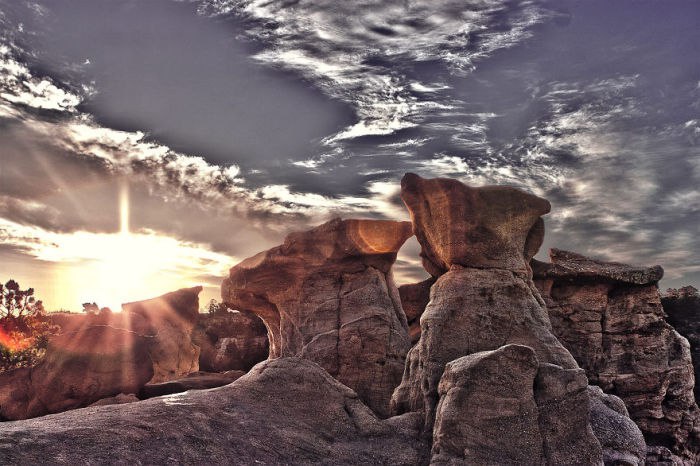   : 10   ,  . ... - 10