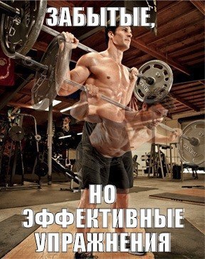 Для того чтобы построить что-либо, нужны строительные материалы. В организме человека роль ...
