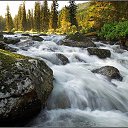 ���� �����, ���, 64 ���� - ��������� 21 ���� 2015 � ������ ���� ����������