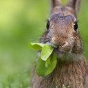 ���� ���, ��������� - ��������� 29 ������� 2015