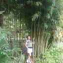 ����� ������� �� ������� ������������� �� ������