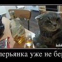 ���� ����, �������, 44 ���� - ��������� 18 ��� 2015 � ������ ���� ����������