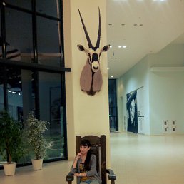 ���, ������, 33 ����