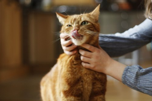  :3