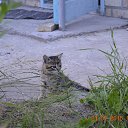 ���� Pavel2167, ����, 58 ��� - ��������� 21 ���� 2015 � ������ ���� ��������