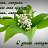 ���� O����, ����� - ��������� 28 ��� 2015