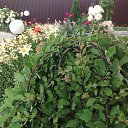 ���� �������, ������, 65 ��� - ��������� 19 ���� 2015 � ������ ���� ����������