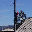 ���� ������, �����������, 46 ��� - ��������� 11 ���� 2015 � ������ ���� ����������