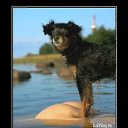 ���� Ssssss, ���� - ��������� 10 ��� 2015 � ������ ���� ����������