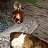 ���� Misha, �������, 41 ��� - ��������� 10 ���� 2015