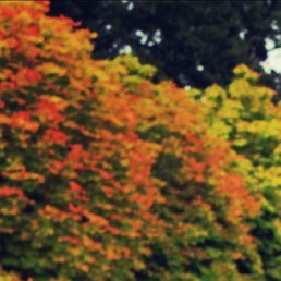 �������, �����-���������