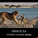 ���� ���������, ����� - ��������� 21 ��� 2015 � ������ ������� ���