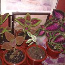 ���� ���, ����� - ��������� 9 ������� 2015 � ������ ���� ����� � �����������!�