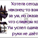 ���� ������, ������ - ��������� 11 ��� 2015 � ������ ������ ��������