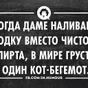 ���� ��������, ������ - ��������� 20 ���� 2015 � ������ ������ ��������