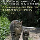 ���� ������, ��������, 72 ���� - ��������� 17 ���� 2015 � ������ ���� ����������