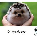 ���� ����, ������-���, 45 ��� - ��������� 28 ���� 2015 � ������ ���� ����������